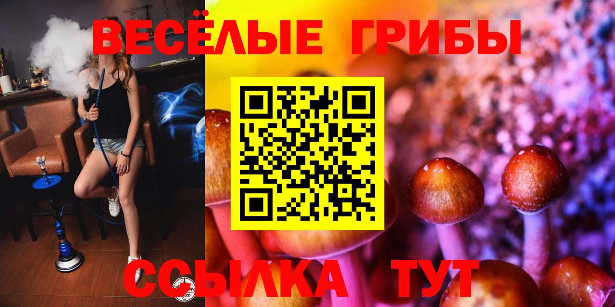 Галлюциногенные грибы Psilocybine cubensis Копейск